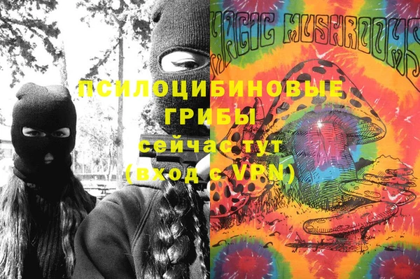 мет Ладушкин