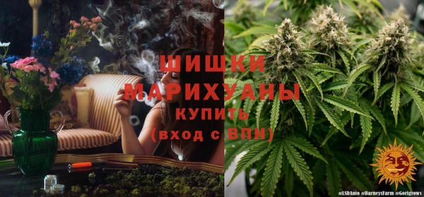 мет Ладушкин