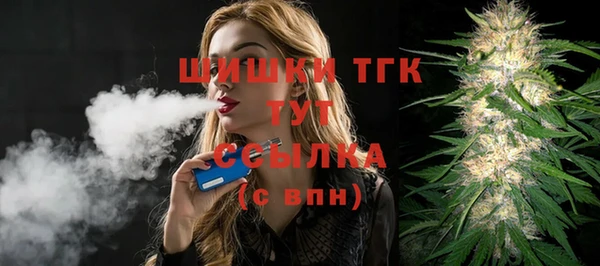 дурь Лабытнанги