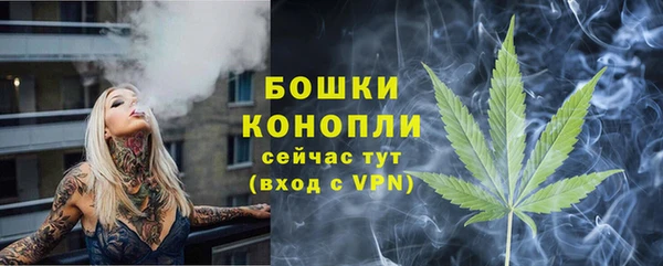 мет Ладушкин