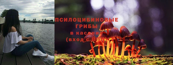 мет Ладушкин